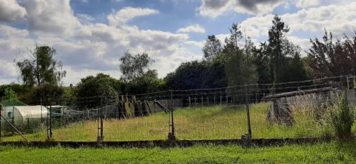 Première photo alternative du bien