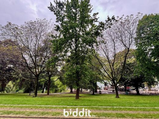 Première photo alternative du bien