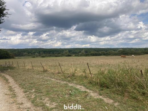 Première photo alternative du bien