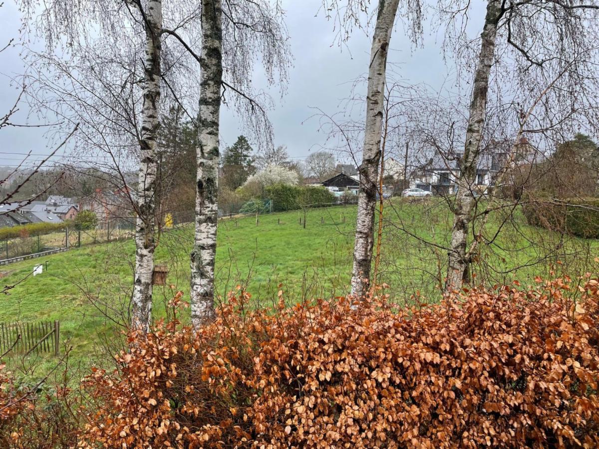 Image de présentation du bien n° 293894