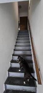 Première photo alternative du bien