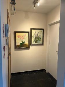 Première photo alternative du bien