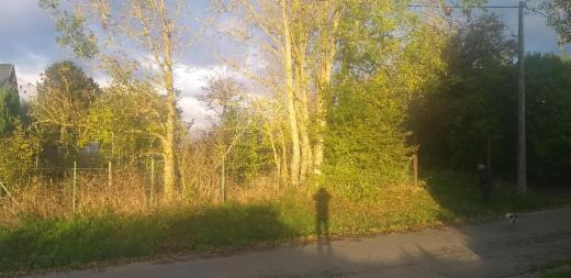 Image de présentation du bien n° 289862