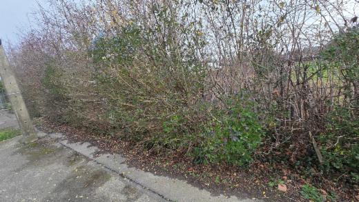 Troisième photo alternative du bien