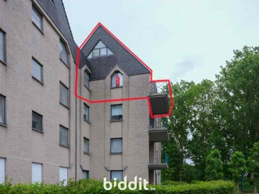 Image de présentation du bien n° 286315