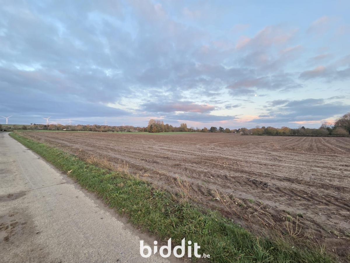 Image de présentation du bien n° 292193