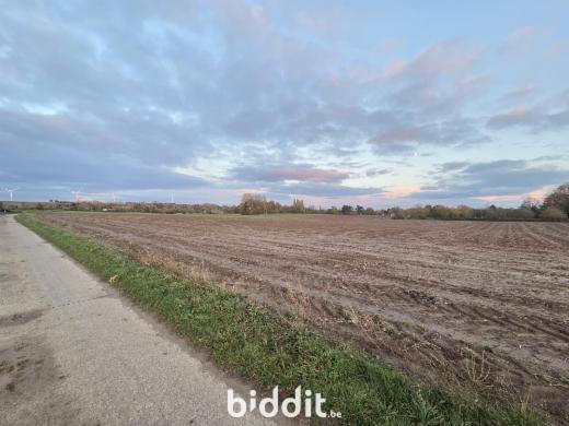 Image de présentation du bien n° 292193