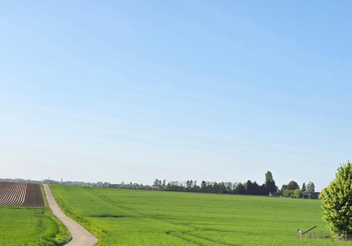 Image de présentation du bien n° 298147
