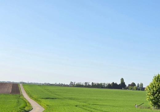Image de présentation du bien n° 298147