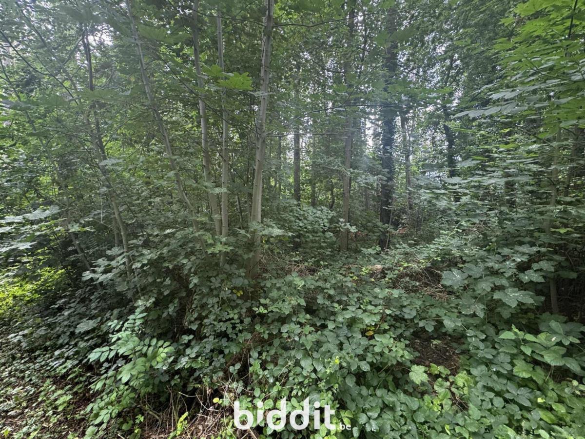 Image de présentation du bien n° 292347