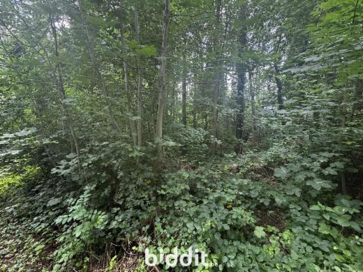 Image de présentation du bien n° 292347