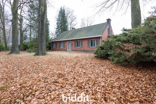 Image de présentation du bien n° 294302