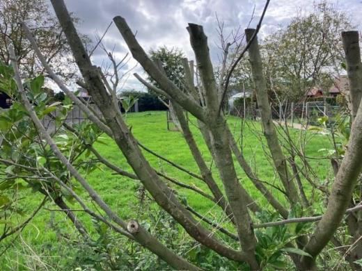 Seconde photo alternative du bien