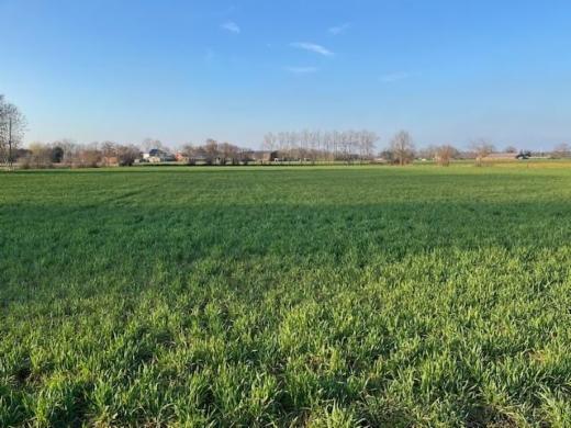 Seconde photo alternative du bien