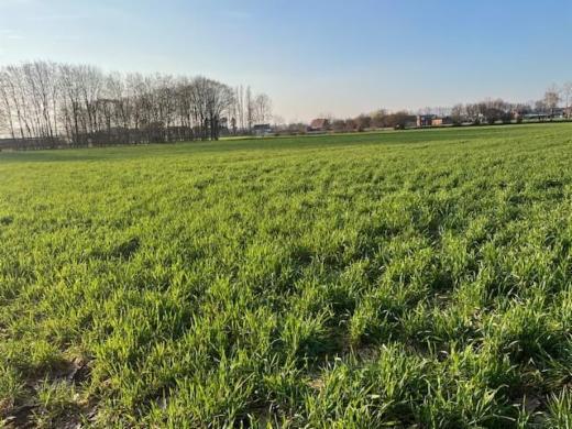 Troisième photo alternative du bien