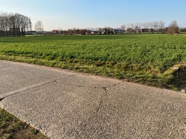 Image de présentation du bien n° 302377