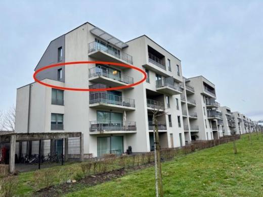 Image de présentation du bien n° 292454