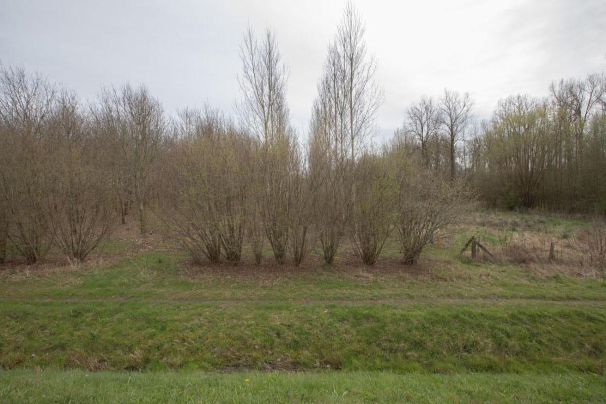 Image de présentation du bien n° 294698