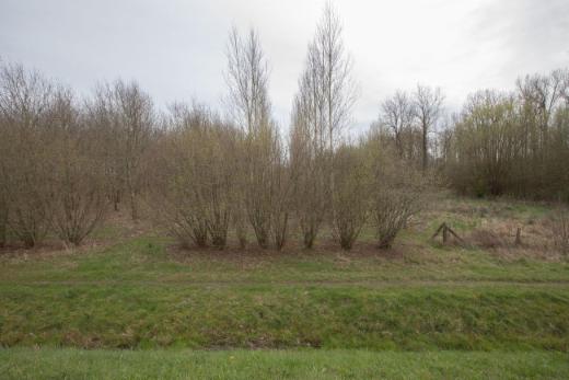 Image de présentation du bien n° 294698