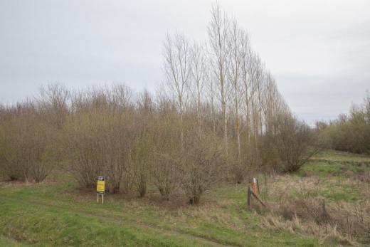 Seconde photo alternative du bien