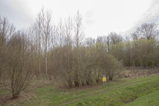 Troisième photo alternative du bien