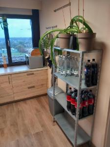 Première photo alternative du bien