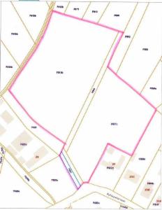 Image de présentation du bien n° 289760