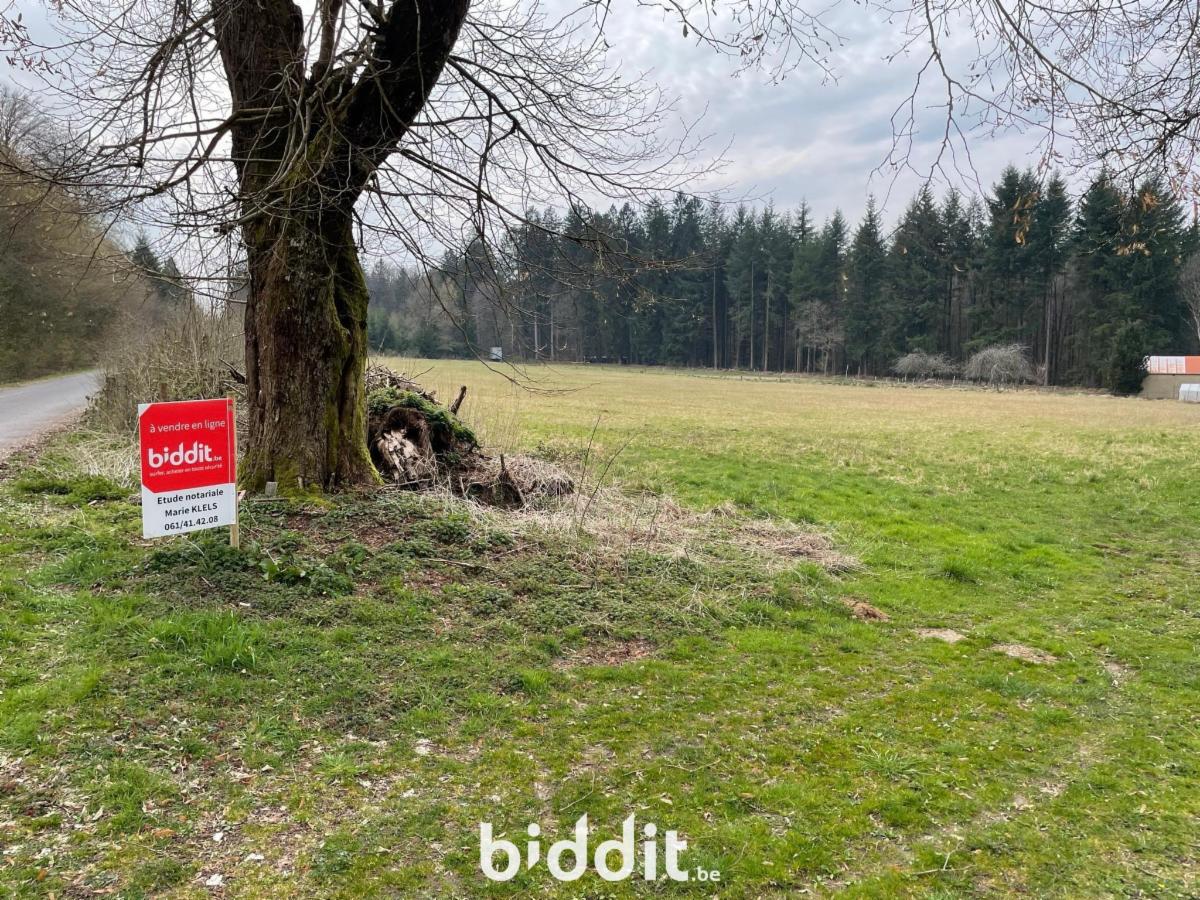 Image de présentation du bien n° 294464