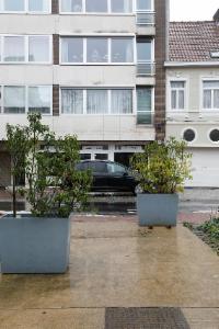 Première photo alternative du bien