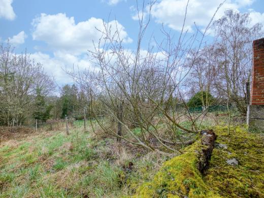 Troisième photo alternative du bien