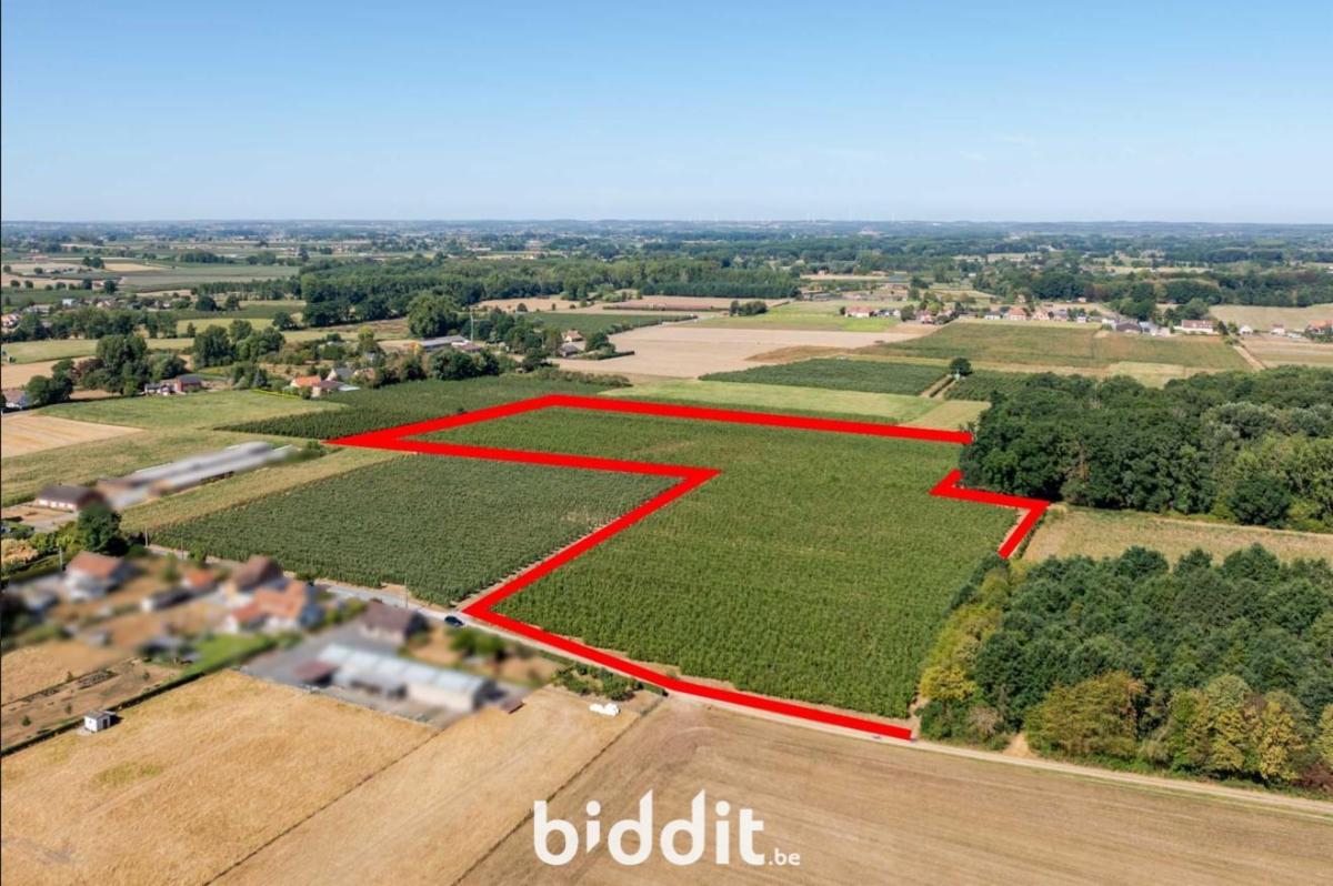Image de présentation du bien n° 299421