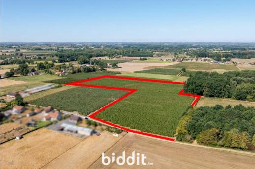Image de présentation du bien n° 299421