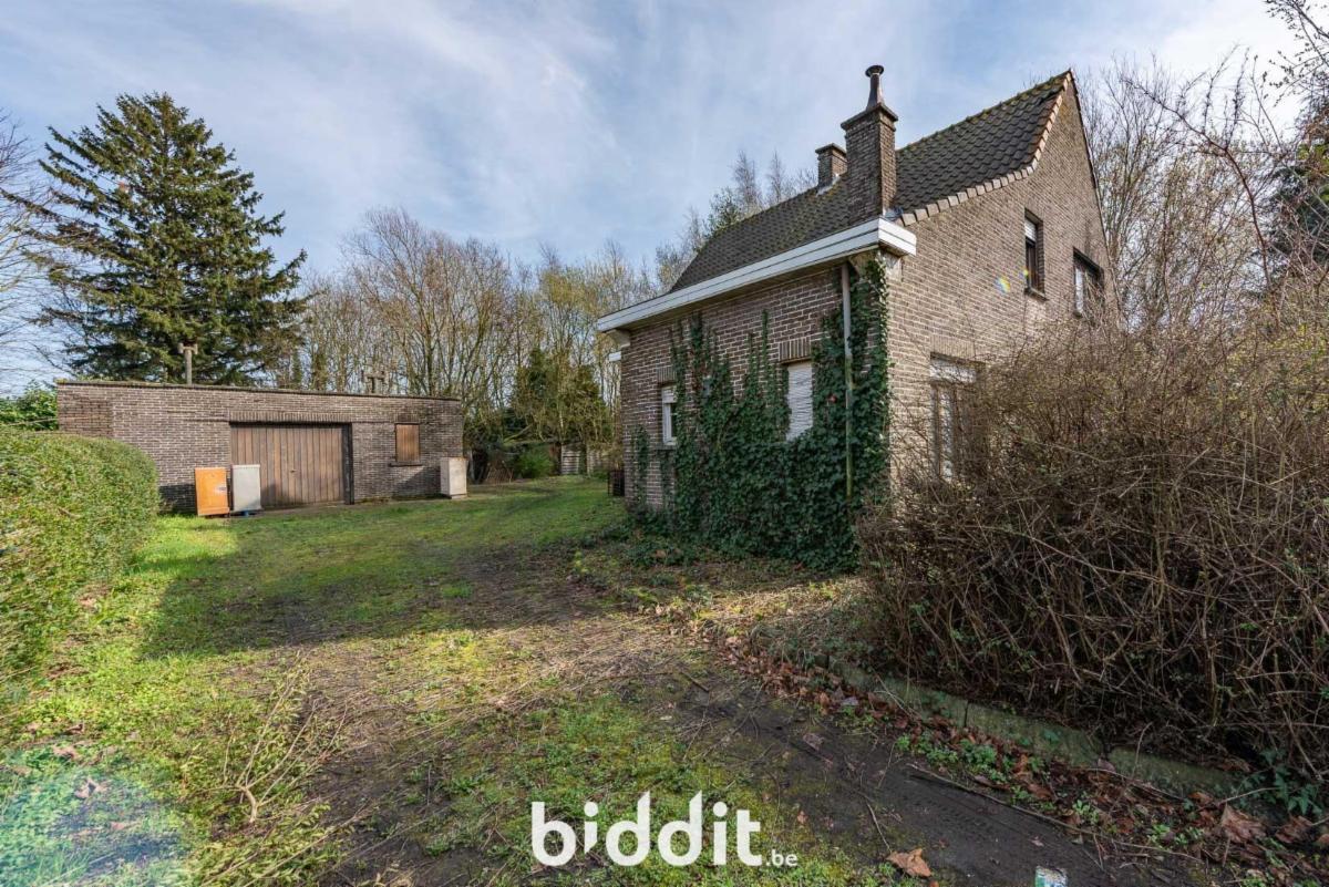 Image de présentation du bien n° 294968