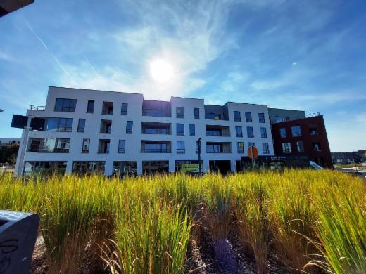 Première photo alternative du bien