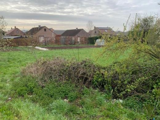 Image de présentation du bien n° 294677