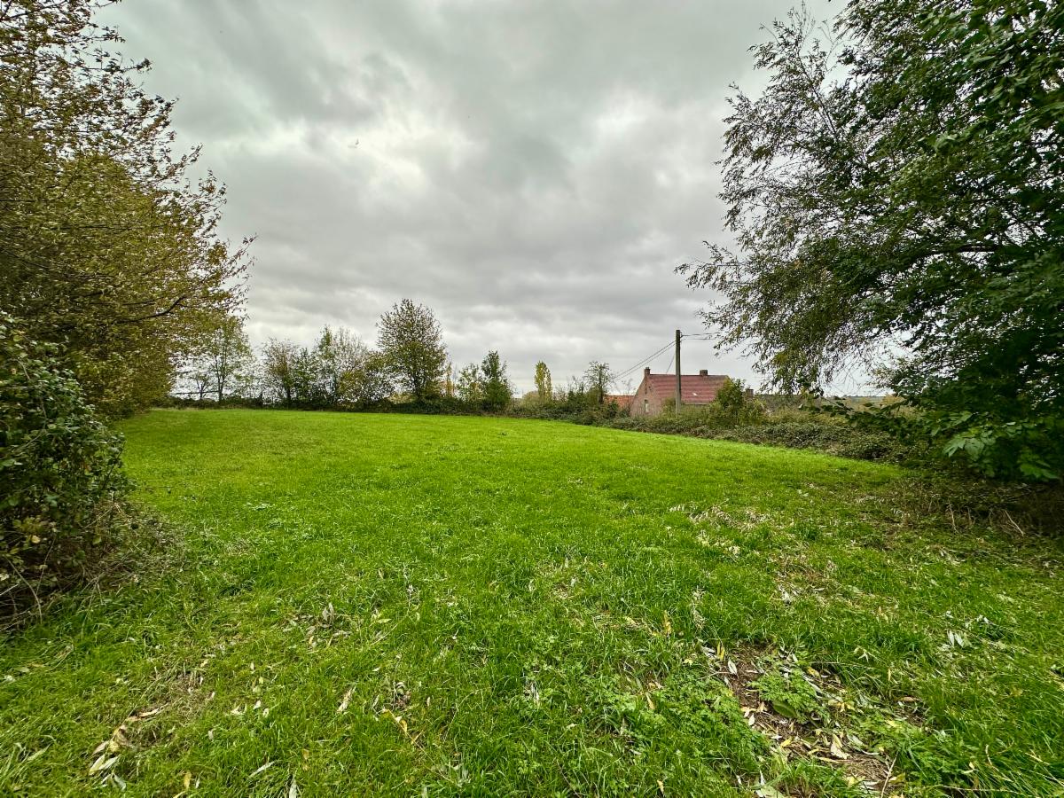 Image de présentation du bien n° 303678