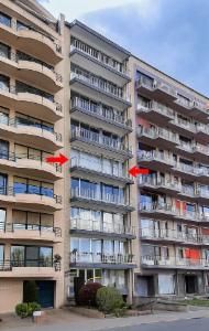 Image de présentation du bien n° 295764