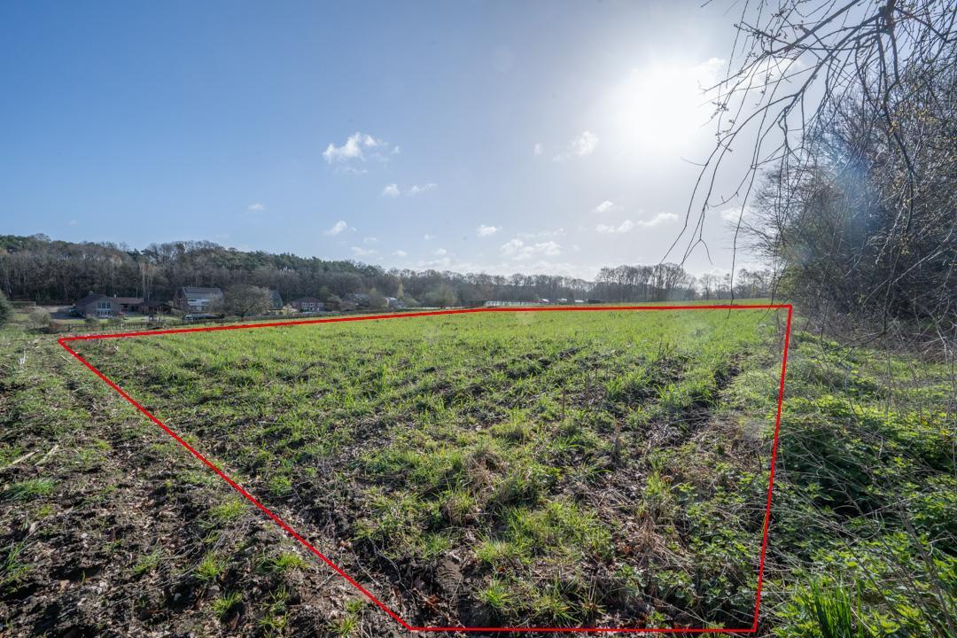 Image de présentation du bien n° 294816