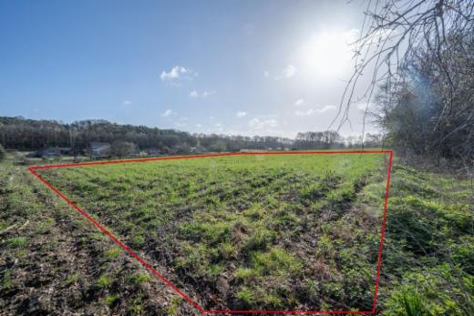 Image de présentation du bien n° 294816