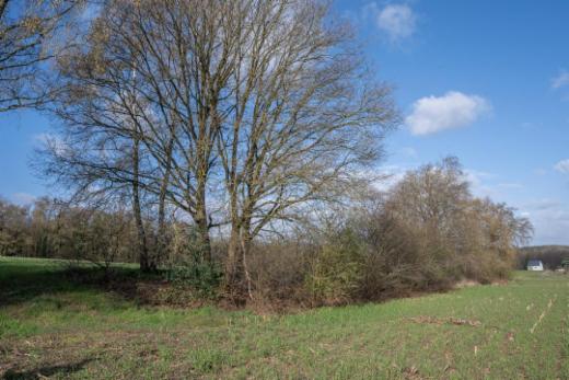 Troisième photo alternative du bien