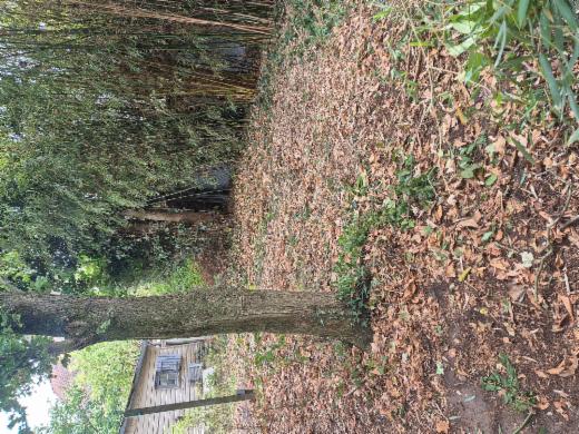 Première photo alternative du bien