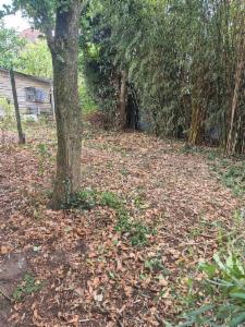 Première photo alternative du bien