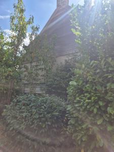 Seconde photo alternative du bien