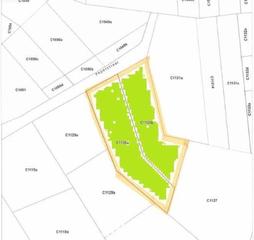 Image de présentation du bien n° 290399