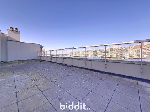 Image de présentation du bien n° 288557