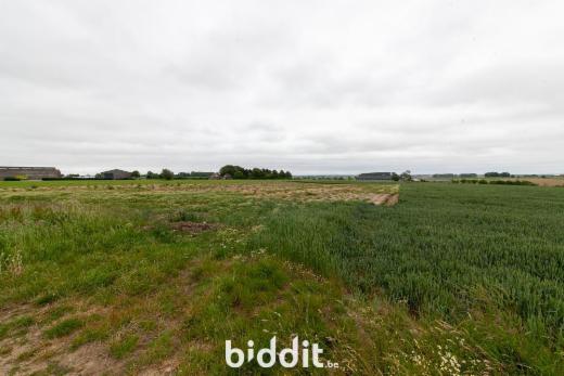 Première photo alternative du bien