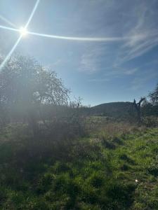 Première photo alternative du bien