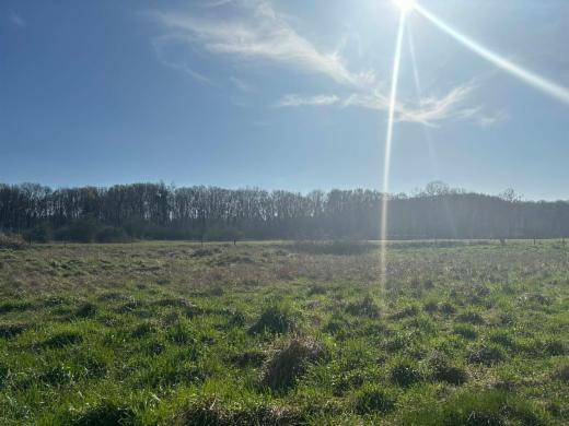 Seconde photo alternative du bien