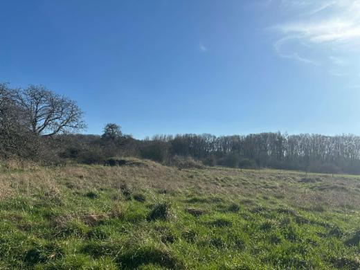 Troisième photo alternative du bien