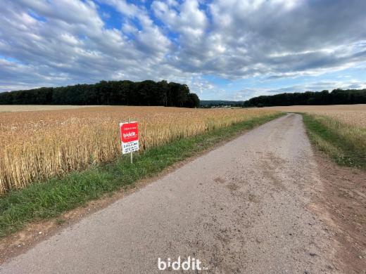 Première photo alternative du bien